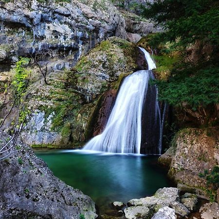 Casa Rural La Piedra Del Cambron Villaverde De Guadalimar Eksteriør bilde