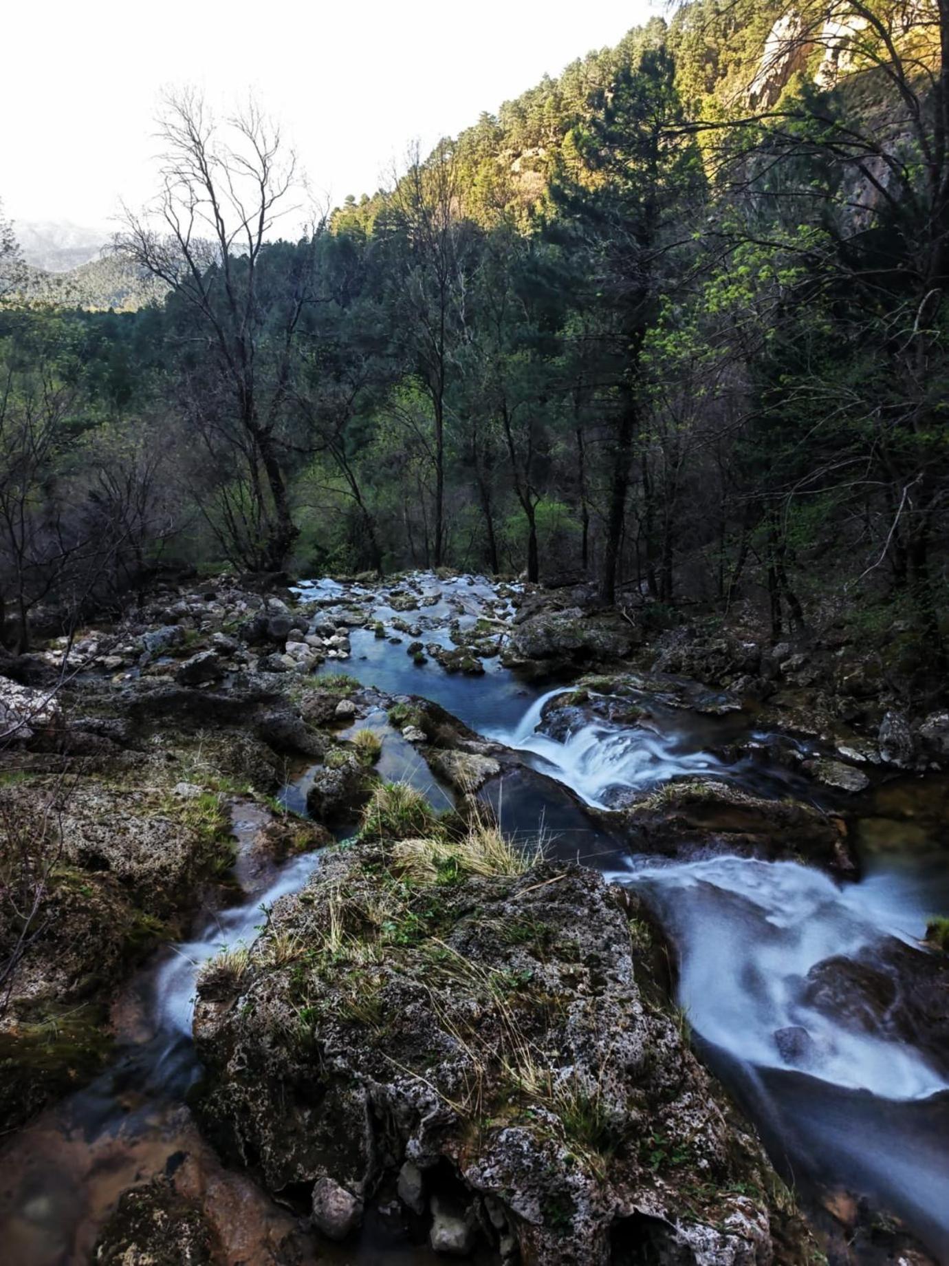 Casa Rural La Piedra Del Cambron Villaverde De Guadalimar Eksteriør bilde